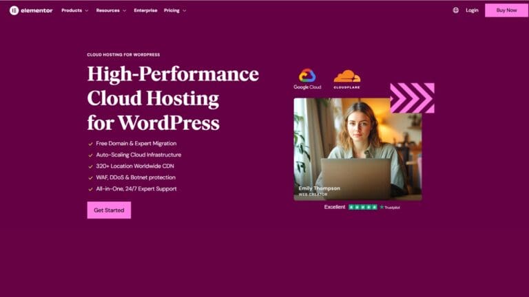 Elementor Hosting Wordpress | Wordpress Theme and Hosting